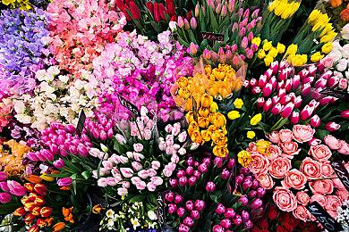 鸟山明新作《Sand Land》发布剧情预告