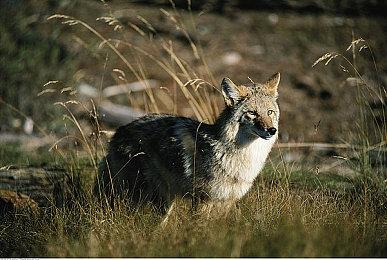 20周年纪念新作《英雄传说：界之轨迹》正式公布 2024年发售